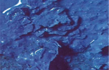 防水涂料类疑难问题分析2.0